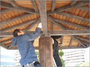 ボランティア活動