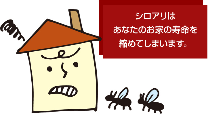 シロアリはあなたのお家の寿命を縮めてしまいます。