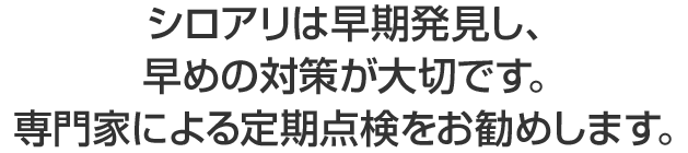 シロアリは早期発見し、早めの対策が大切です。専門家による定期点検をお勧めします。